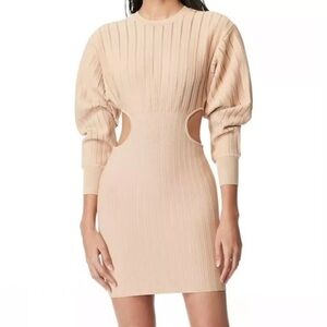 NWT Herve Leger Shadow Stripe Cut Out Bodycon Mini Dress M Tan